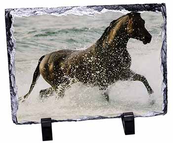 Black Horse in Sea, Stunning Photo Slate