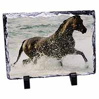 Black Horse in Sea, Stunning Photo Slate