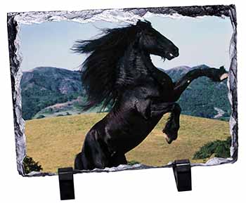 Rearing Black Stallion, Stunning Photo Slate