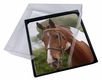4x Beautiful Chestnut Horse Picture Table Coasters Set in Gift Box