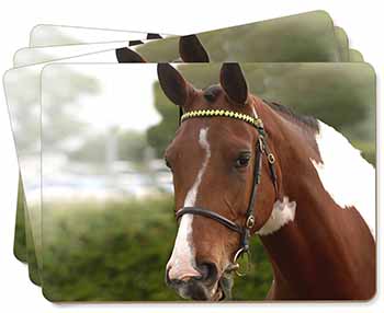 Beautiful Chestnut Horse Picture Placemats in Gift Box