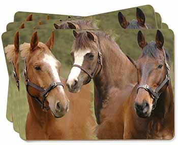 Horse Montage Picture Placemats in Gift Box