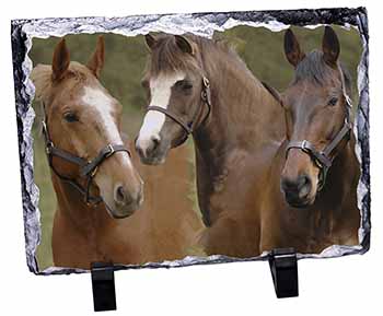 Horse Montage, Stunning Photo Slate