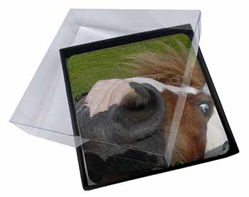 4x Cheeky Shetland Pony Picture Table Coasters Set in Gift Box