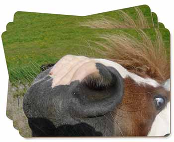 Cheeky Shetland Pony Picture Placemats in Gift Box