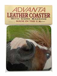 Cheeky Shetland Pony Single Leather Photo Coaster