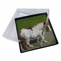 4x Shetland Pony Picture Table Coasters Set in Gift Box