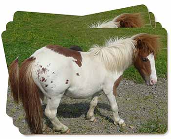 Shetland Pony Picture Placemats in Gift Box