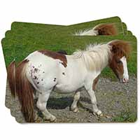 Shetland Pony Picture Placemats in Gift Box