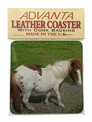 Shetland Pony Single Leather Photo Coaster
