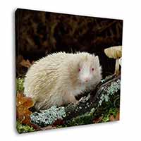 Albino Hedgehog Wildlife Square Canvas 12"x12" Wall Art Picture Print