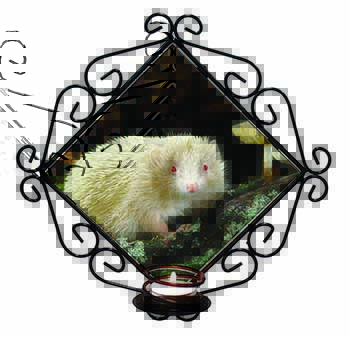 Albino Hedgehog Wildlife Wrought Iron Wall Art Candle Holder