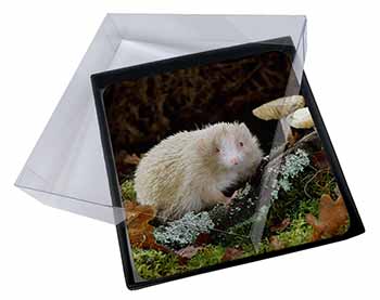 4x Albino Hedgehog Wildlife Picture Table Coasters Set in Gift Box