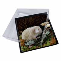 4x Albino Hedgehog Wildlife Picture Table Coasters Set in Gift Box