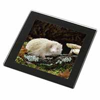 Albino Hedgehog Wildlife Black Rim High Quality Glass Coaster
