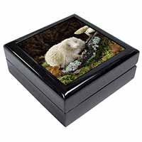 Albino Hedgehog Wildlife Keepsake/Jewellery Box