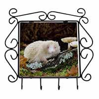 Albino Hedgehog Wildlife Wrought Iron Key Holder Hooks
