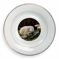 Albino Hedgehog Wildlife Gold Rim Plate Printed Full Colour in Gift Box