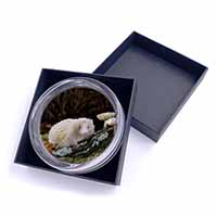 Albino Hedgehog Wildlife Glass Paperweight in Gift Box