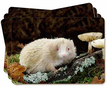 Albino Hedgehog Wildlife Picture Placemats in Gift Box