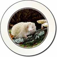 Albino Hedgehog Wildlife Car or Van Permit Holder/Tax Disc Holder