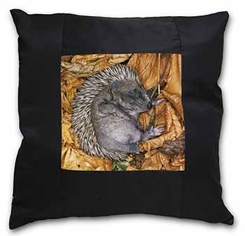 Sleeping Baby Hedgehog Black Satin Feel Scatter Cushion