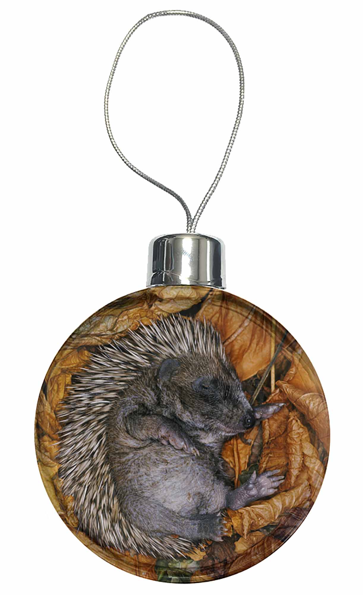 AHE-4CB Sleeping Baby Hedgehog Christmas Tree Bauble Decoration Gift