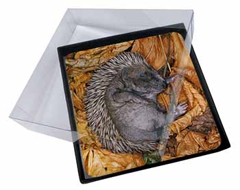 4x Sleeping Baby Hedgehog Picture Table Coasters Set in Gift Box
