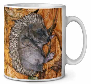 Sleeping Baby Hedgehog Ceramic 10oz Coffee Mug/Tea Cup