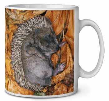 Sleeping Baby Hedgehog Ceramic Coffee Mug/Tea Cup