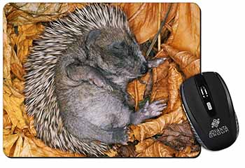 Sleeping Baby Hedgehog Computer Mouse Mat