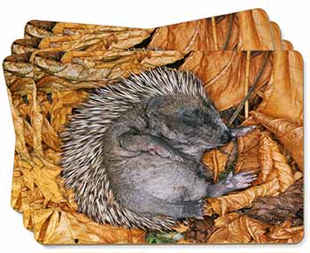 Sleeping Baby Hedgehog Picture Placemats in Gift Box