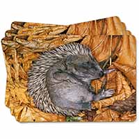 Sleeping Baby Hedgehog Picture Placemats in Gift Box