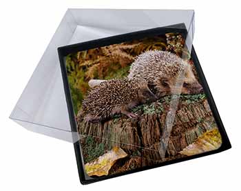 4x Mother and Baby Hedgehog Picture Table Coasters Set in Gift Box