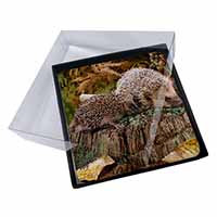 4x Mother and Baby Hedgehog Picture Table Coasters Set in Gift Box