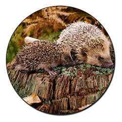 Mother and Baby Hedgehog Fridge Magnet Printed Full Colour