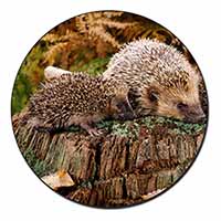 Mother and Baby Hedgehog Fridge Magnet Printed Full Colour
