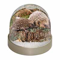 Mother and Baby Hedgehog Snow Globe Photo Waterball