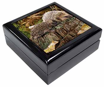 Mother and Baby Hedgehog Keepsake/Jewellery Box