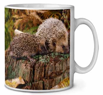 Mother and Baby Hedgehog Ceramic Coffee Mug/Tea Cup