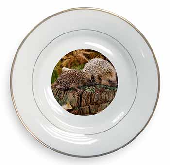 Mother and Baby Hedgehog Gold Rim Plate Printed Full Colour in Gift Box