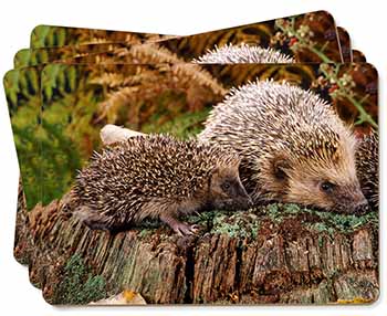 Mother and Baby Hedgehog Picture Placemats in Gift Box