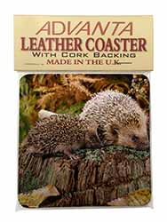 Mother and Baby Hedgehog Single Leather Photo Coaster