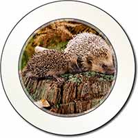 Mother and Baby Hedgehog Car or Van Permit Holder/Tax Disc Holder