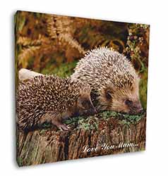 Hedgehogs 