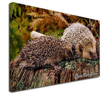 Hedgehogs 