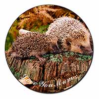 Hedgehogs 