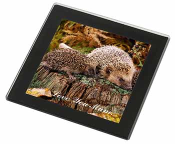 Hedgehogs 