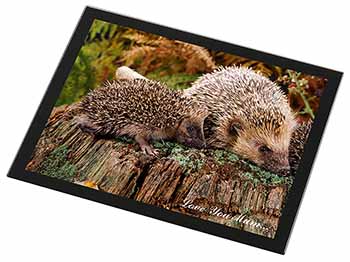 Hedgehogs 