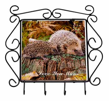 Hedgehogs 